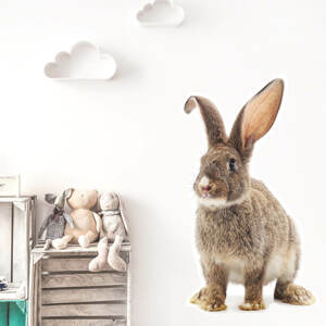 Pastelowe Love® samolepka na zeď králík Velikost: L Samolepka