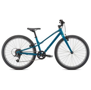 Specialized Jett 24 - teal tint carbon/flake silver