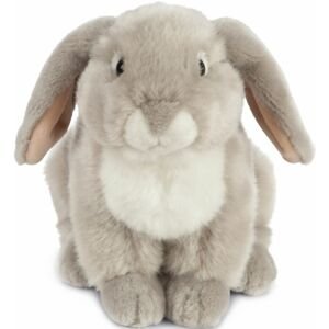 Living Nature Living nature grey french lop eared rabbit