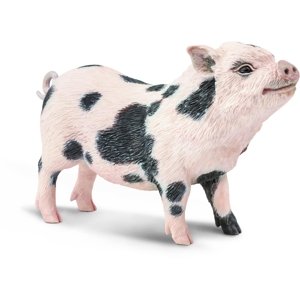 Safari Pot–bellied Pig