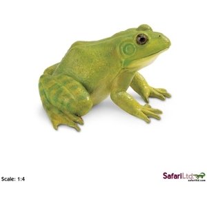 Safari American Bullfrog