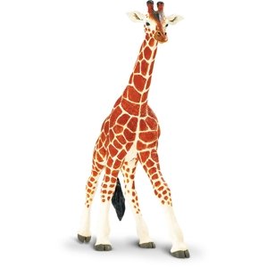 Safari Reticulated Giraffe