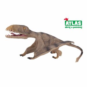 B - Figurka Pterosaurus 17,2 cm, Atlas, W001782