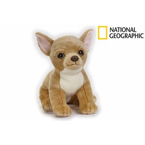 National Geographic Kids Čivava pes 33 cm,  W011618