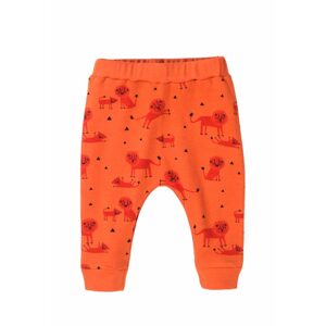 Kalhoty kojenecké BIO bavlna, Minoti, Simba 2, oranžová - 56/62 | 0-3m